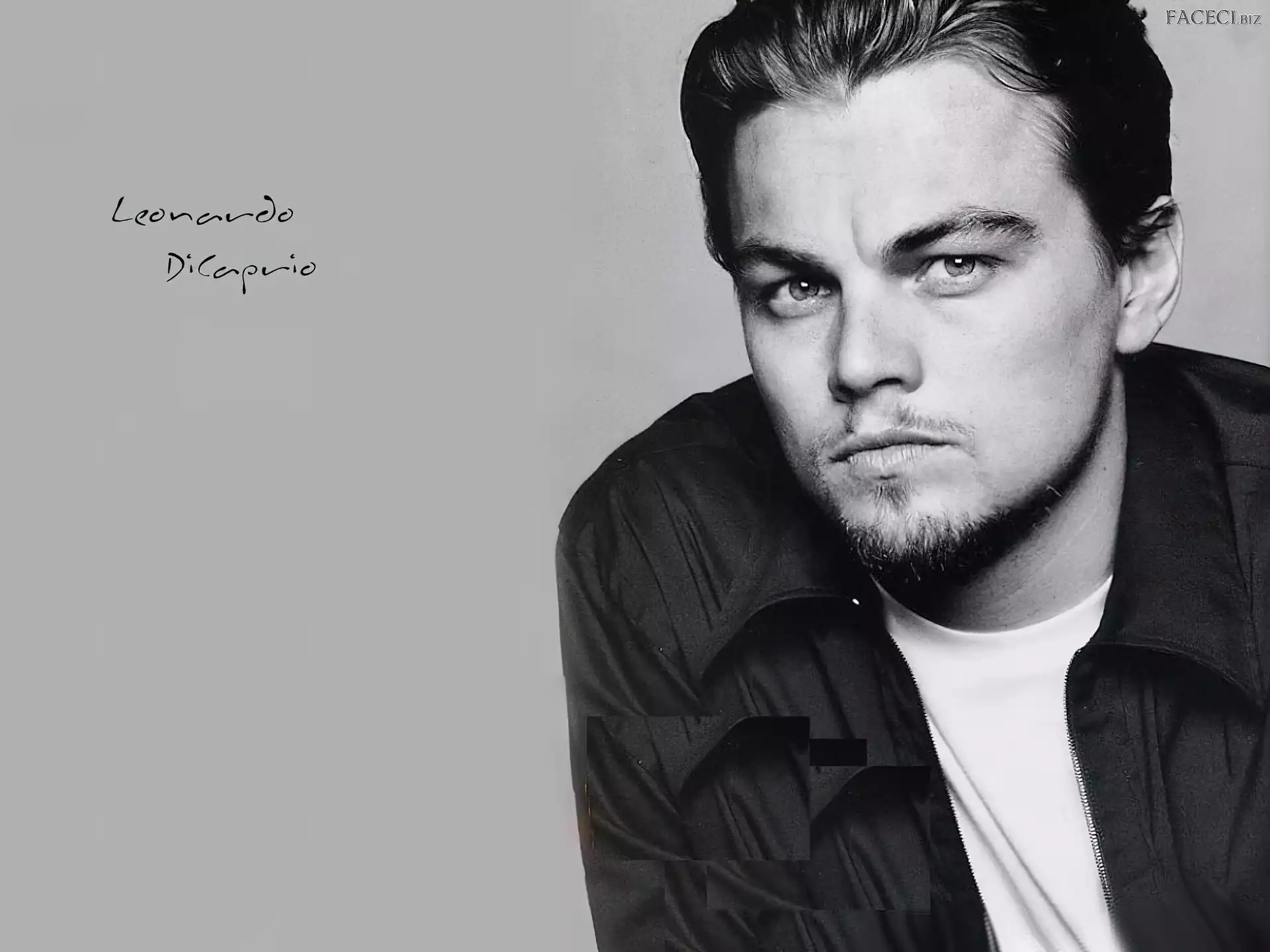 Leonardo DiCaprio, bródka