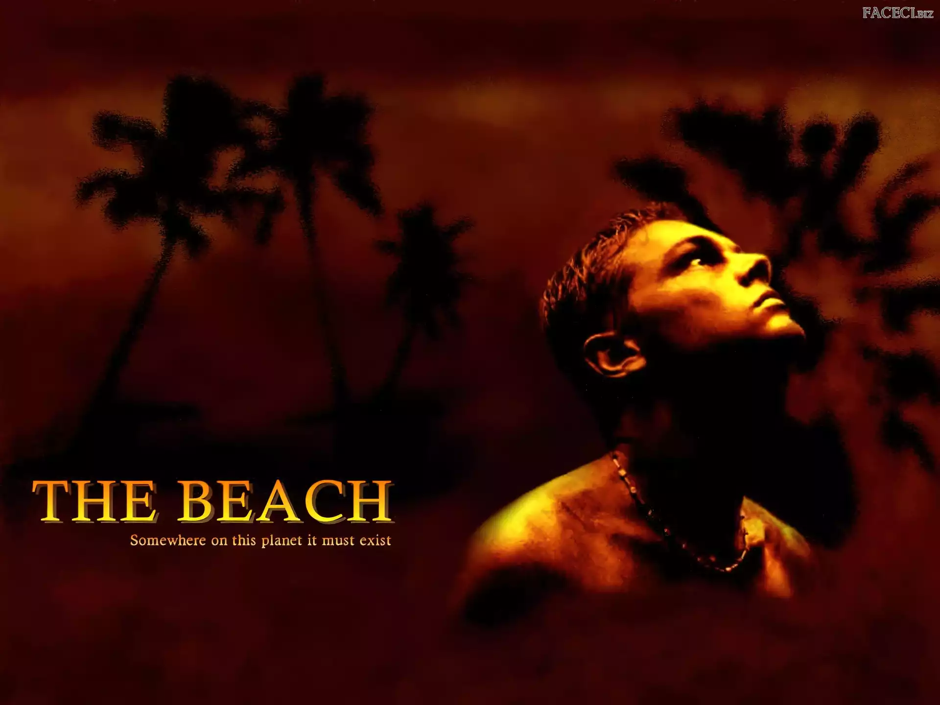 palmy, Leonardo DiCaprio, twarz